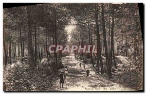 Old Postcard Cote money Road in Forest