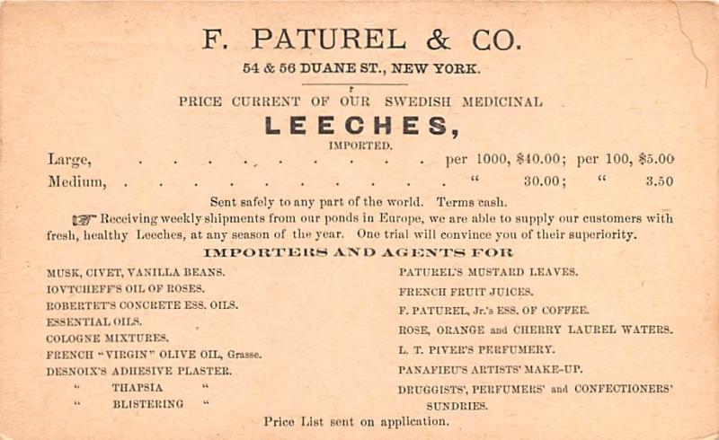 Medicine Advertising Old Vintage Antique Post Card Leeches 1894