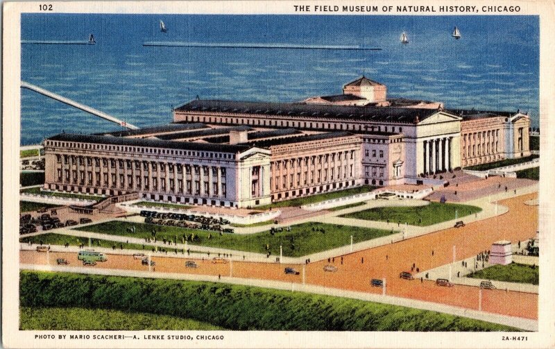 Field Museum Natural History Chicago Mario Scacheri  Lenke Studio Linen Postcard 