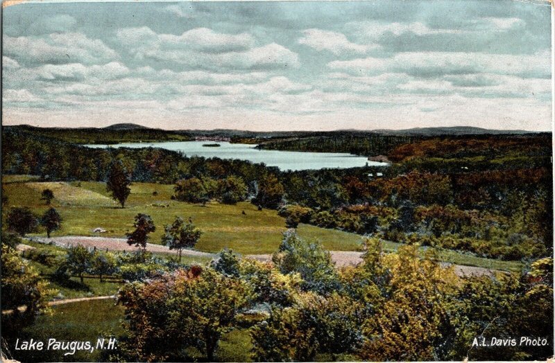 Lake Paugus N.H. Divided Back Postcard Antique Unposted Vintage Germany Davis 