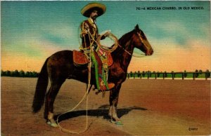 CPA AK A Mexican Charro, in old Mexico MEXICO (598697)