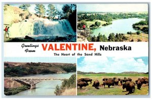 Valentine Nebraska NE Postcard Greetings The Heart Of The Sand Hills c1960's