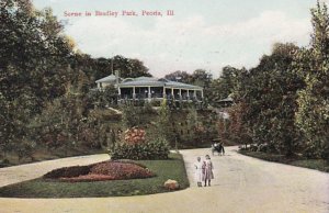 Illinois Peoria Scene In Bradley Park 1908