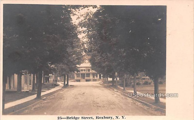 Bridge Street Roxbury NY Unused