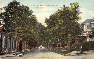 Corning New York~First Street East @ Pine Street~Children with Dog on Curb~1909