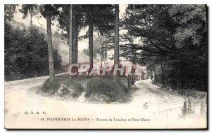 Old Postcard Plombieres les Bains Avenue de Lorraine and Groe Chene