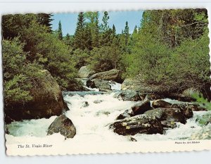 Postcard The St. Vrain River, Rocky Mountain National Park, Colorado