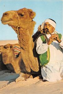 BF39548 melocamel tunisia types   camel chameau  animal animaux