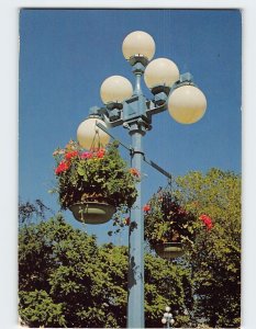 Postcard Flower Baskets, Victoria, Canada