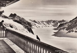 Switzeland Jungfraujoch Blick vom Berghaus auf Aletshgletscher Real Photo