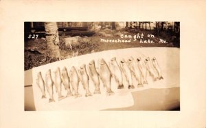 Moosehead Lake Maine Fishermans Catch Real Photo Vintage Postcard AA64509 