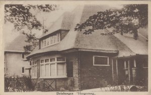 Driebergen Hoogesteeg Holland Old Postcard