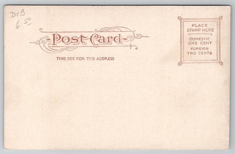 Wheeling WV Main Street Looking North from 12th Street Postcard K35