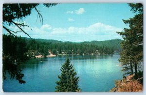 c1950's Loon Lake Washington WA North Of Spoken Showing Cedar Beau Bay Postcard