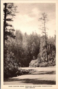 New Mexico Dark Canyon Road Through Mescalaro Reservation Albertype