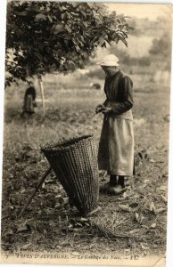 CPA Types d'Auvergne - Le Goulage des Noix (225265)