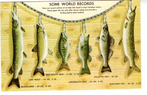 Fishing, Some World Records from Parts of Canada