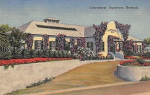 Government Aquarium Bermuda Postcard