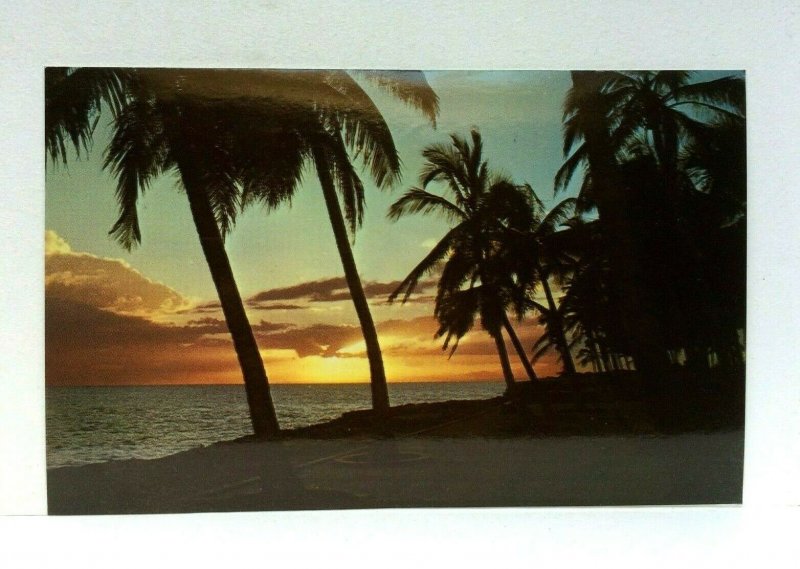 Caribbean Sunset Palm Trees Ocean Postcard