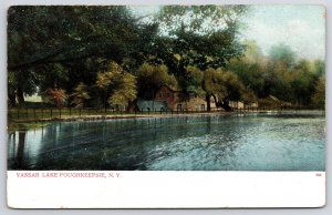 Vassar Lake Poughkeepsie New York NY Trees & Nature View Along The Lake Postcard