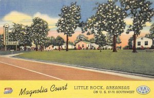 MAGNOLIA COURT Little Rock, Arkansas Roadside  ca 1940s Vintage Linen Postcard