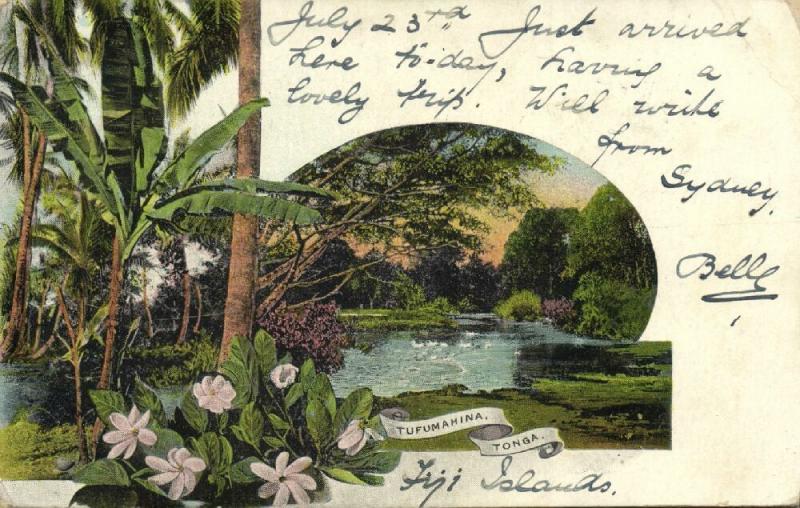 tonga islands, TAFUMAHINA, Partial View (1899) Pre-Printed Stamp