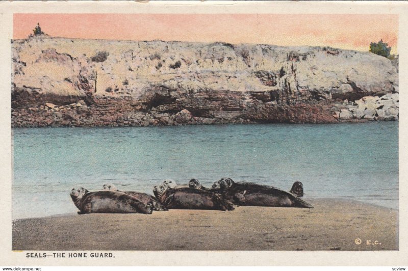 SEALS , The Home Guard , 1910s