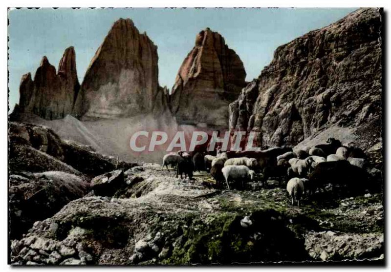 Postcard Modern Dolomiti Tre Cime Lavaredo dt Shepherd and sheep