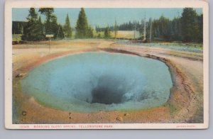 Morning Glory Spring, Yellowstone National Park Wyoming, Antique Haynes Postcard