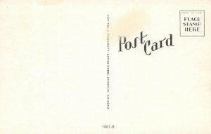 LPS37 Pritchett Colorado Jack Ratliff Covered Wagon Touring America Postcard