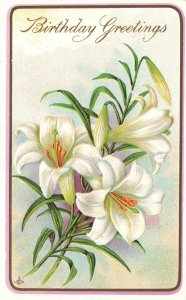 ​Vintage Postcard 1916 A Happy Birthday Greetings Beautiful White Lilies Flowers