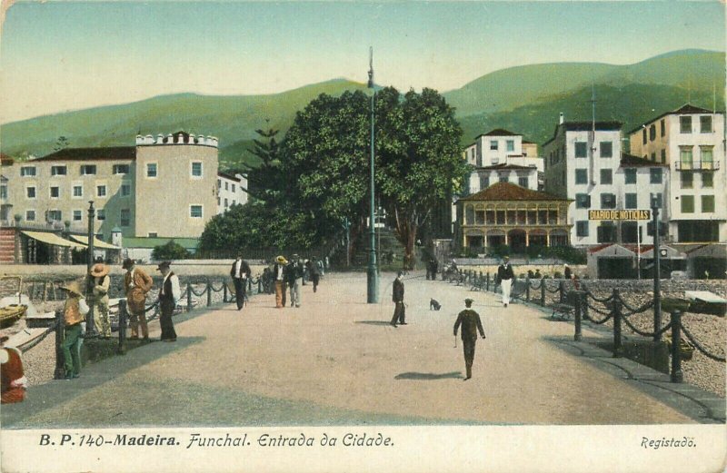 Portugal Madeira Funchal lot of 3 vintage postcards