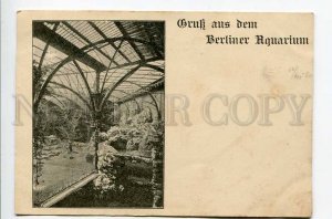 287543 GERMANY Gruss aus BERLIN aquaruim Vintage 1890 year postcard