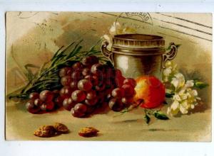 240714 Grapes near Vase by C. KLEIN Vintage GOM #2171 postcard