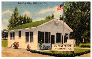 Florida  Rattlesnake  U S Post Office