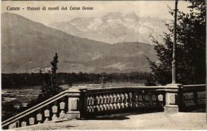 CPA Cuneo Visioni di monti dal Corso Gesso ITALY (800538)