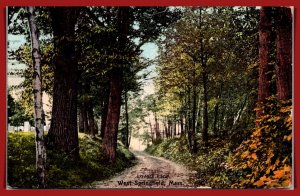 Massachusetts, Springfield - Lovers Lane - [MA- 1036]