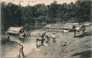 Sri Lanka Ceylon River Scene Vintage Postcard C068
