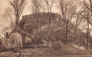 England Totnes Castle vintage postcard