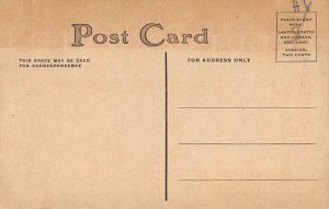 Cat Cats, Kitten Unused 