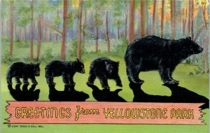 1930s Greetings from Yellowstone Park Mother Bear with Cubs Linen Postcard