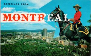 Greetings from Montreal Quebec QC Mount Royal RCMP Mountie Horse Postcard D72