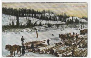 Logging Horse Sled Teams 1910 postcard