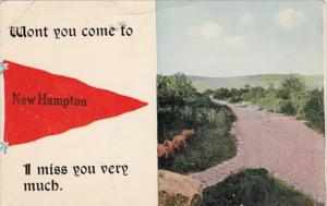 Pennant Series New Hampton Iowa 1913