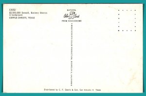 Texas, Corpus Christi - Seawall - Business District - [TX-143]