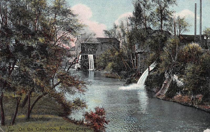 On The Calapoola, Albany, Oregon, Early Postcard, Unused