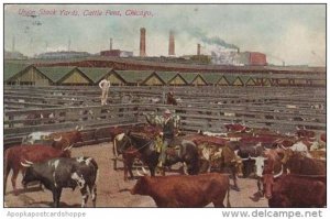 Illinois Chicago Cattle Pens Union Stock Yards