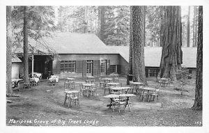 Mariposa Grove of Big Trees Lodge Real Photo Yosemite California  