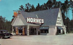 BAYARD FL HORNE CANDY SHOPPES VINTAGE POSTCARD 