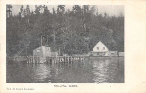 Nellita Washington Boat Dock Vintage Postcard AA19715